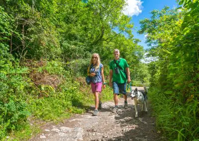 Dog walking at Bosherton Lily Ponds